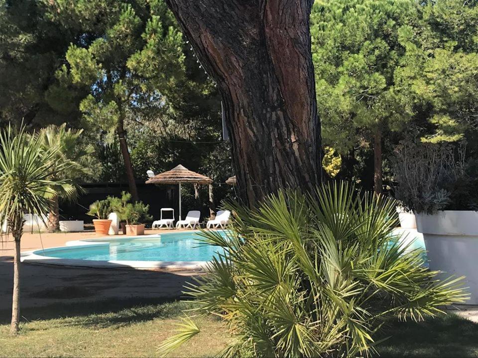 Hotel Perrozzi Vasto Exterior photo